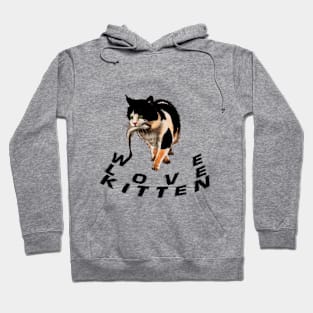 kitten fish Hoodie